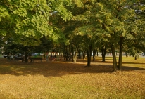 Park, fot. Marek Chwistek