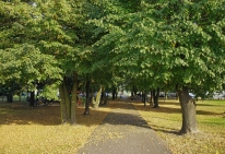 Park, fot. Marek Chwistek