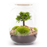 Obrazek dla news_1070